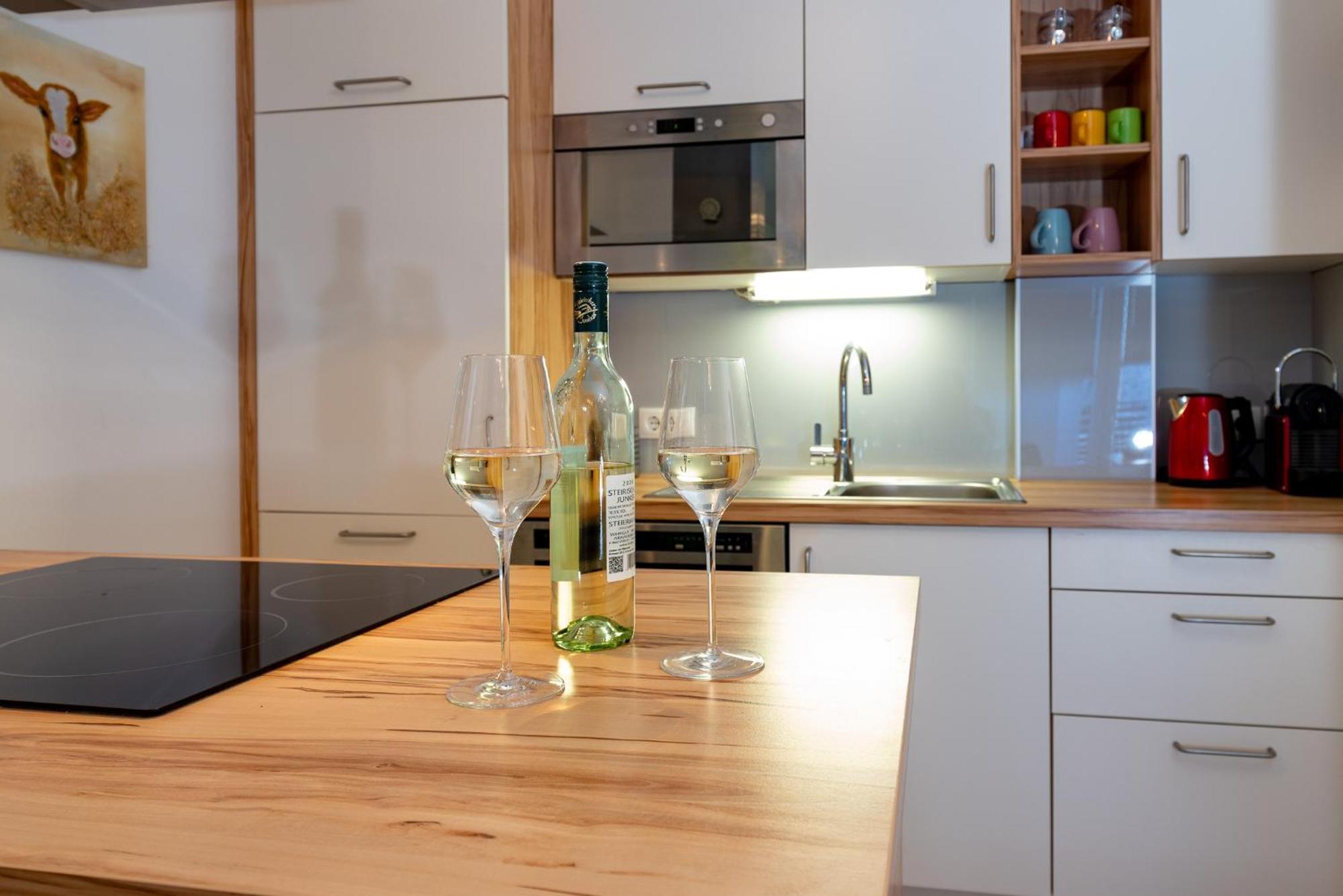 Appartement Klosterhuegel Хаус-им-Энншталь Экстерьер фото